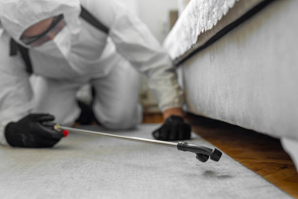 Professional Bed Bug Control technician working in Opelousas, LA