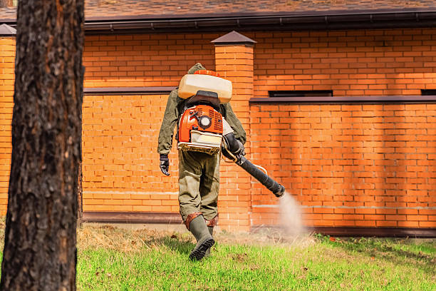 Trusted Bed Bug Control service in Opelousas, LA - Nex Pest Control
